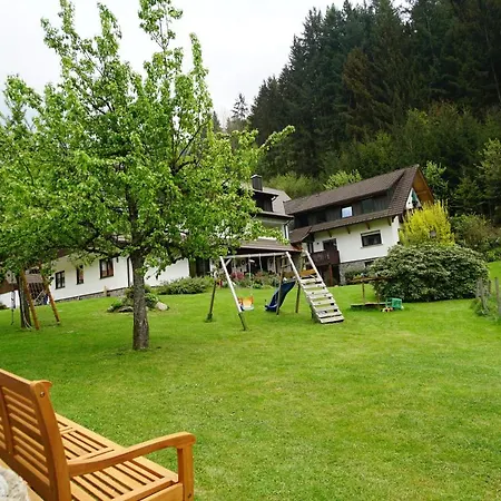 Apartment Gummeneck - Stubenhof, Black Forest *