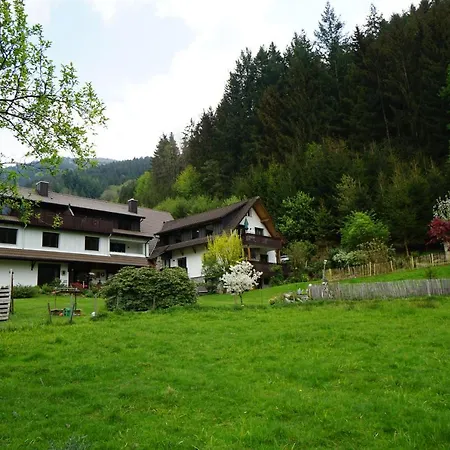 Gummeneck - Stubenhof, Black Forest Apartment